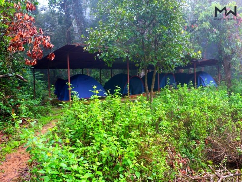 Agumbe - Maple Jungle Camping and st Mary's Island Tour