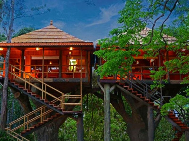 Treehouse Stay