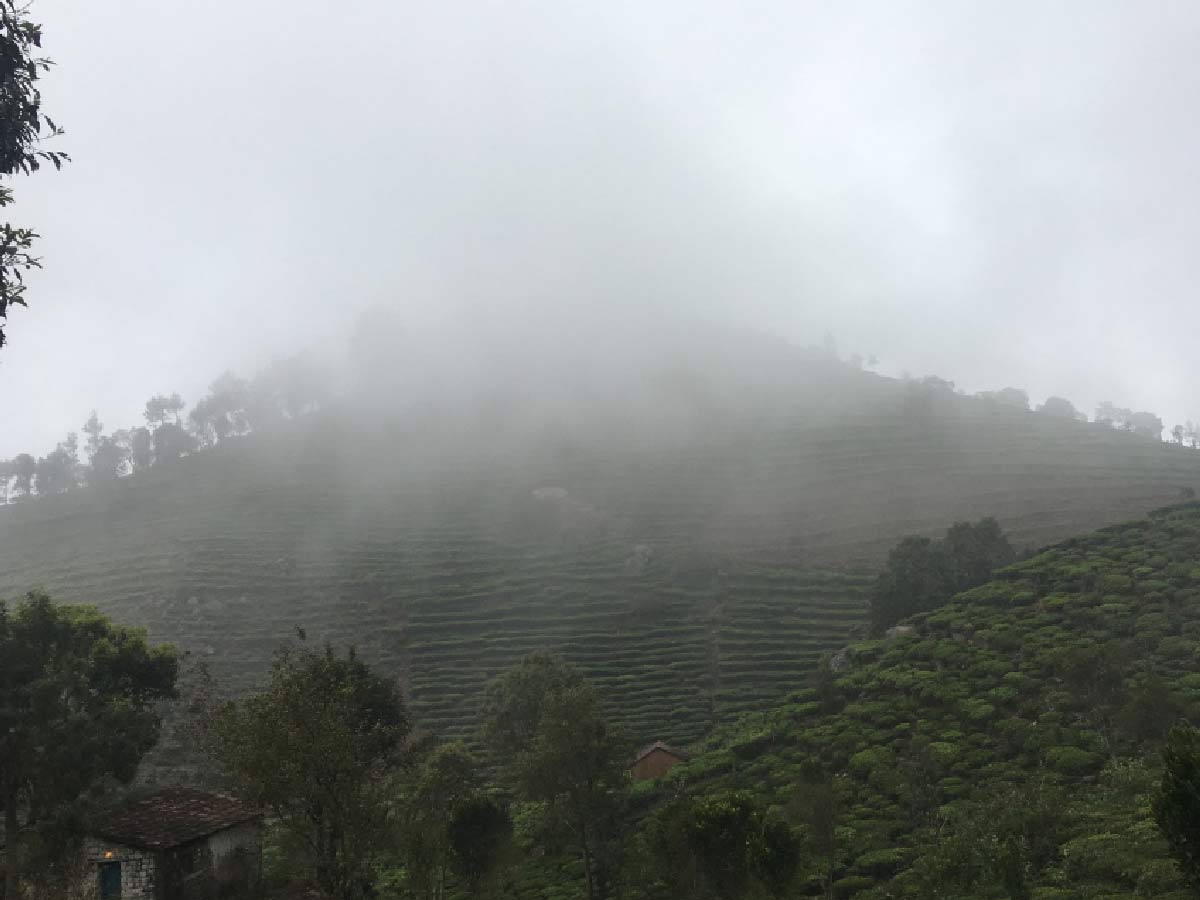 Ooty