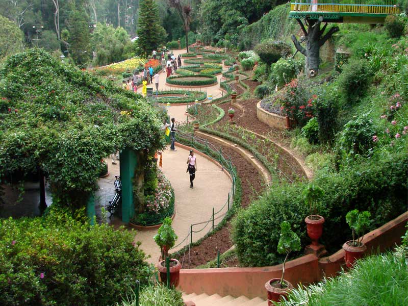 Ooty Botanical Garden