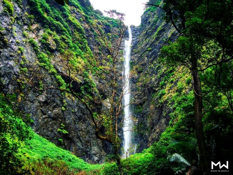 agumbe waterfalls trek