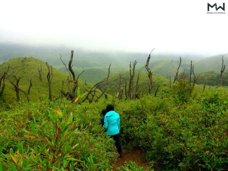 dzukou valley trek package cost