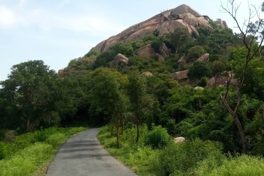 Devarayanadurga-cycling-trail