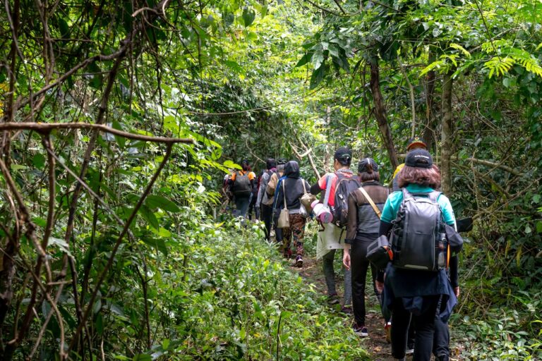 corporate adventure tours