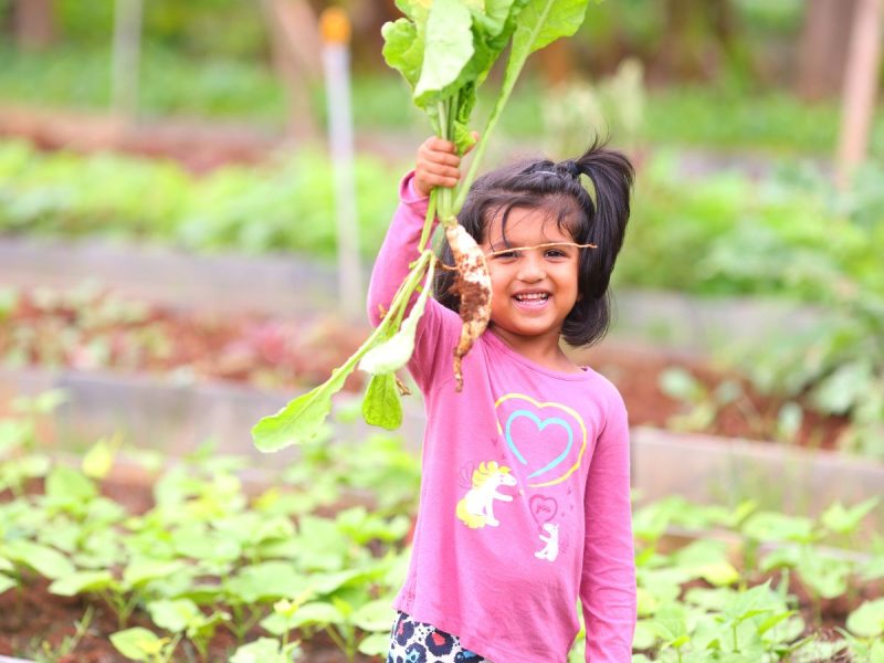 Camping Akshayakalpa Organic Farm 8