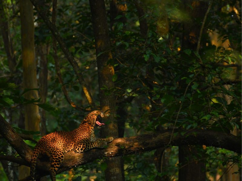 Karnataka Adventure Package
